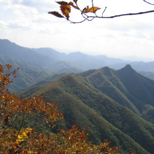 고대산으로 오세요