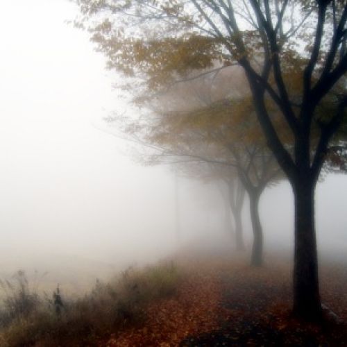 아침 공설운동장 주변길