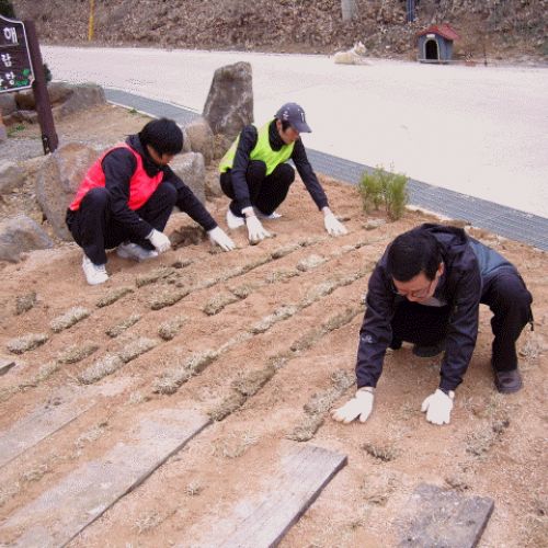 봉사활동 (가람)