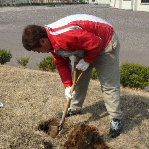 나무심고 탄소줄이기 활동