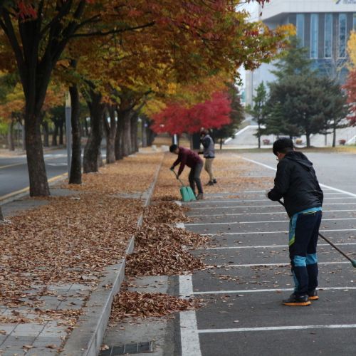 제2차 거리환경정화활동