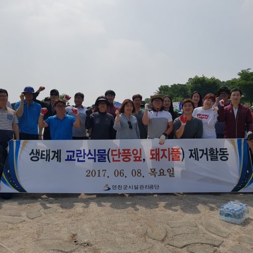 20170608 생태계 교란식물 제거활동