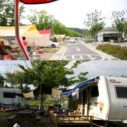 야영장(최신버전)