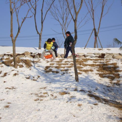 촬영 2011.01.02  즐겁게 노는 아이들