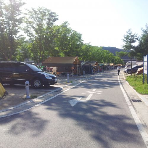 자동차 야영장 사진