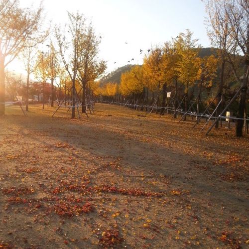 가을캠핑 서두르세요 ^^