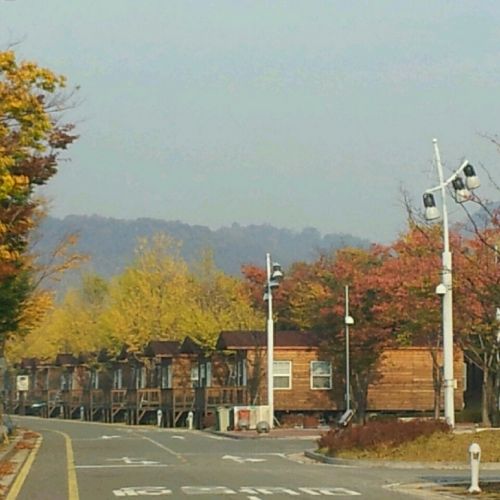 가는 가을을 아쉬워 하며