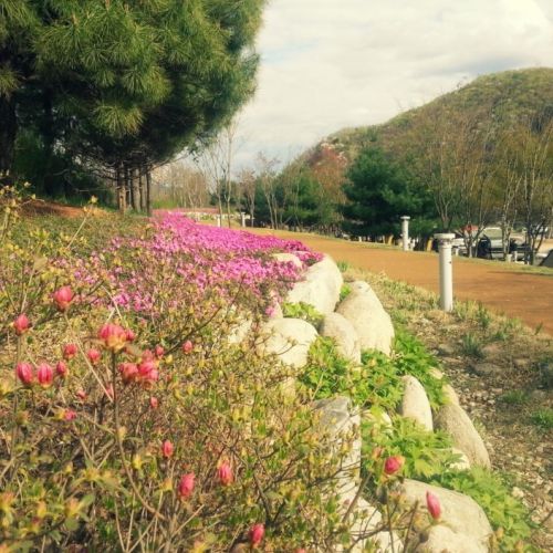 야영장 산책길...