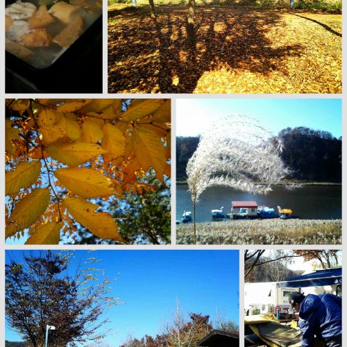 겨울비와 함께한 생축 1박2일^^