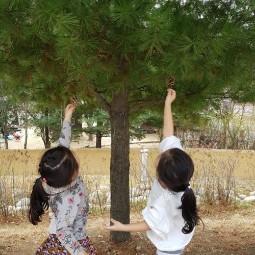 사진공모전 입선작