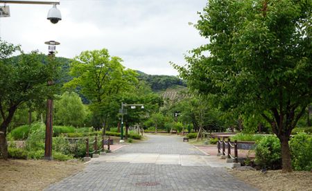 별빛야영장 사진 5