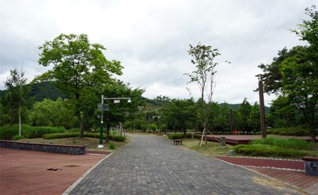별빛야영장 사진 2